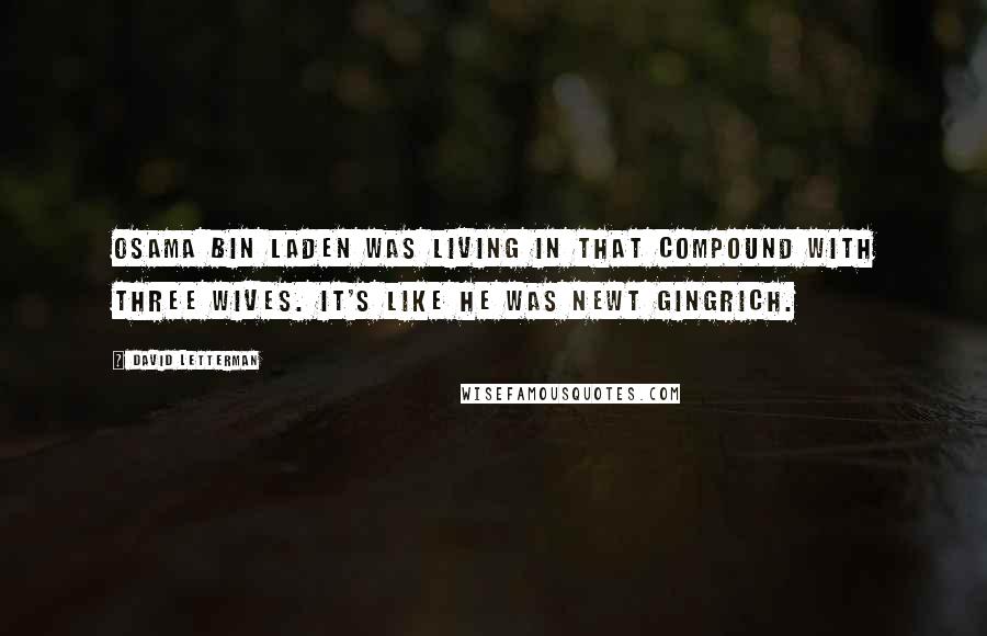 David Letterman Quotes: Osama bin Laden was living in that compound with three wives. It's like he was Newt Gingrich.