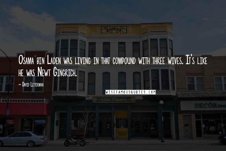 David Letterman Quotes: Osama bin Laden was living in that compound with three wives. It's like he was Newt Gingrich.