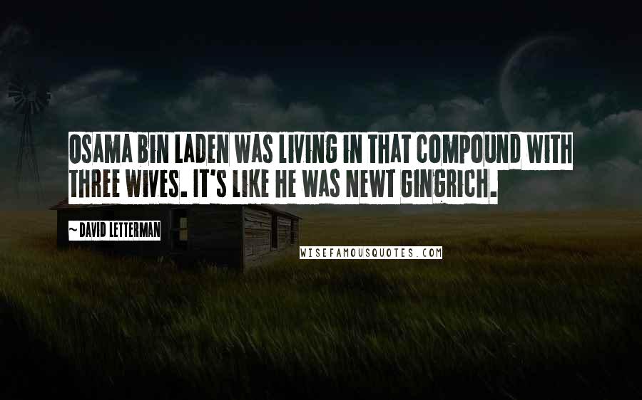 David Letterman Quotes: Osama bin Laden was living in that compound with three wives. It's like he was Newt Gingrich.