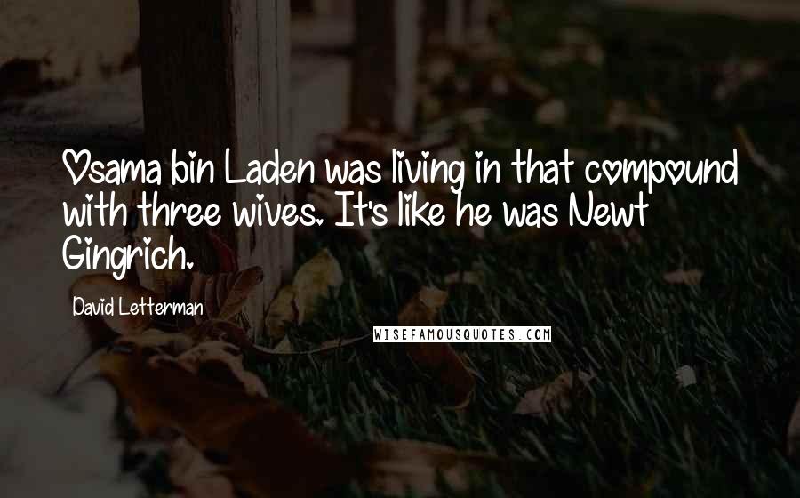 David Letterman Quotes: Osama bin Laden was living in that compound with three wives. It's like he was Newt Gingrich.