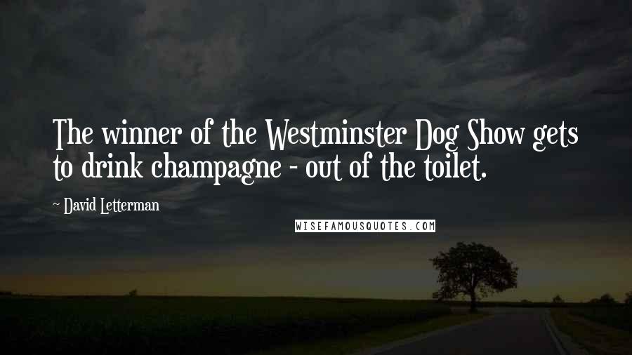 David Letterman Quotes: The winner of the Westminster Dog Show gets to drink champagne - out of the toilet.