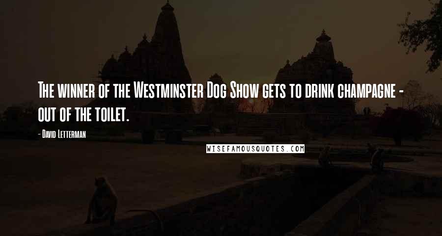 David Letterman Quotes: The winner of the Westminster Dog Show gets to drink champagne - out of the toilet.