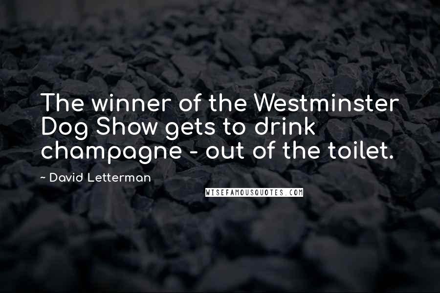 David Letterman Quotes: The winner of the Westminster Dog Show gets to drink champagne - out of the toilet.