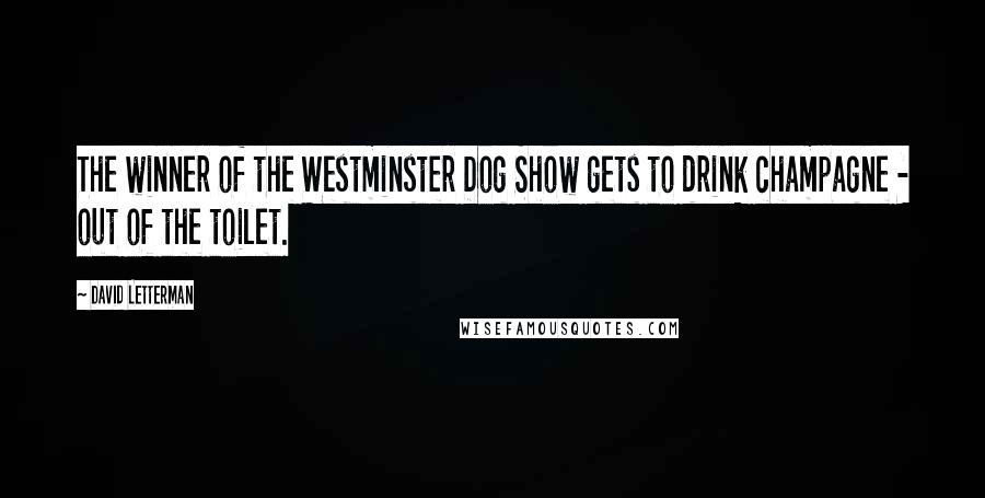 David Letterman Quotes: The winner of the Westminster Dog Show gets to drink champagne - out of the toilet.