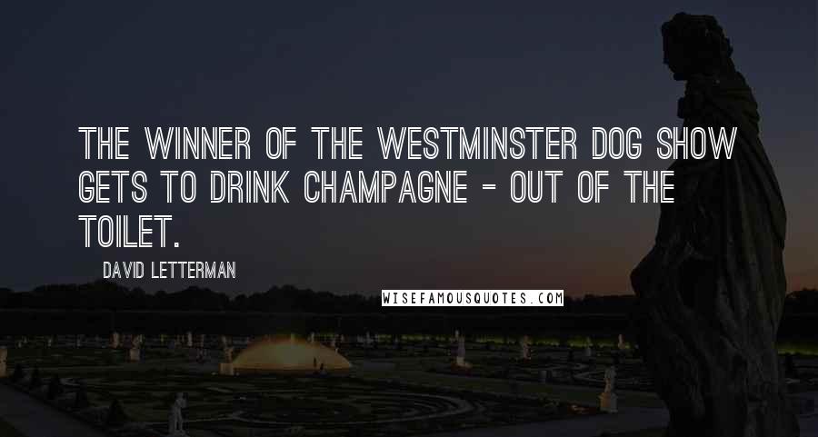 David Letterman Quotes: The winner of the Westminster Dog Show gets to drink champagne - out of the toilet.