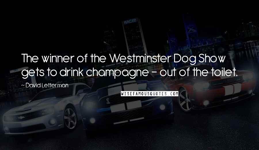 David Letterman Quotes: The winner of the Westminster Dog Show gets to drink champagne - out of the toilet.