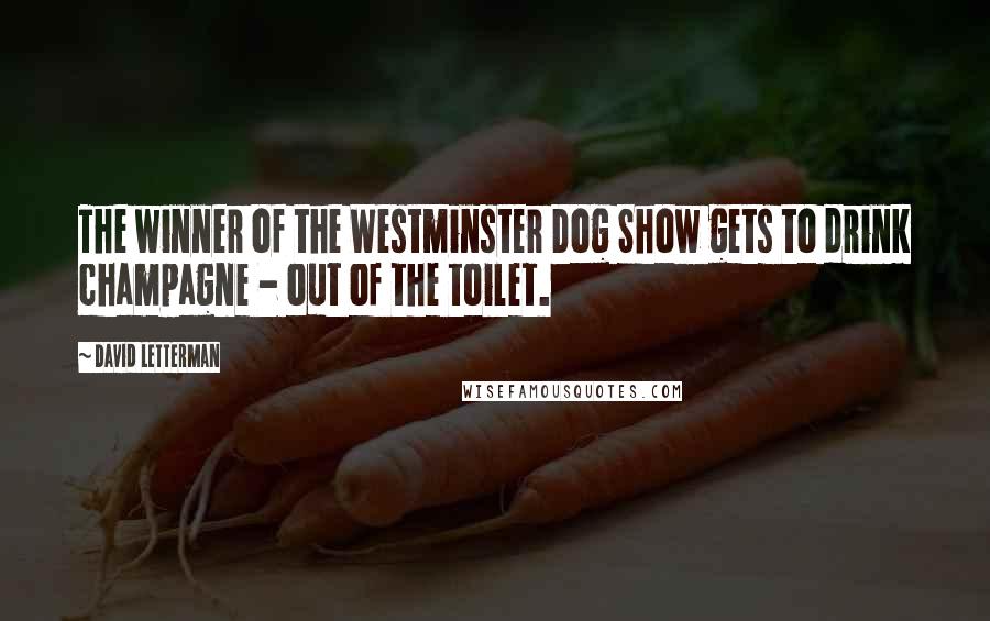 David Letterman Quotes: The winner of the Westminster Dog Show gets to drink champagne - out of the toilet.