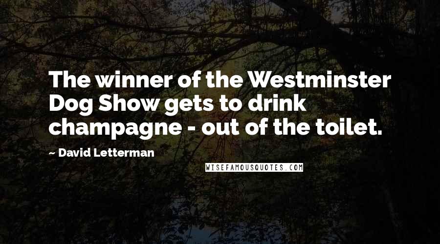 David Letterman Quotes: The winner of the Westminster Dog Show gets to drink champagne - out of the toilet.