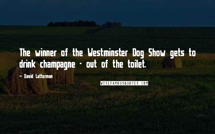 David Letterman Quotes: The winner of the Westminster Dog Show gets to drink champagne - out of the toilet.