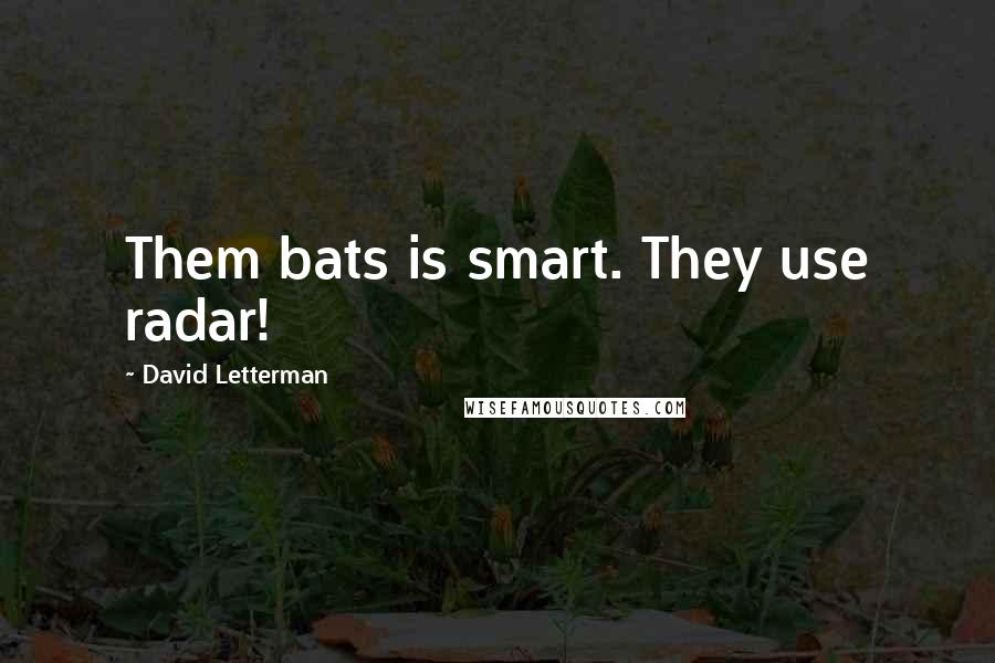 David Letterman Quotes: Them bats is smart. They use radar!