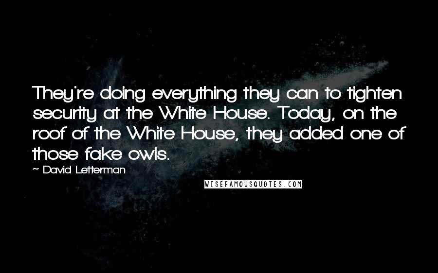David Letterman Quotes: They're doing everything they can to tighten security at the White House. Today, on the roof of the White House, they added one of those fake owls.