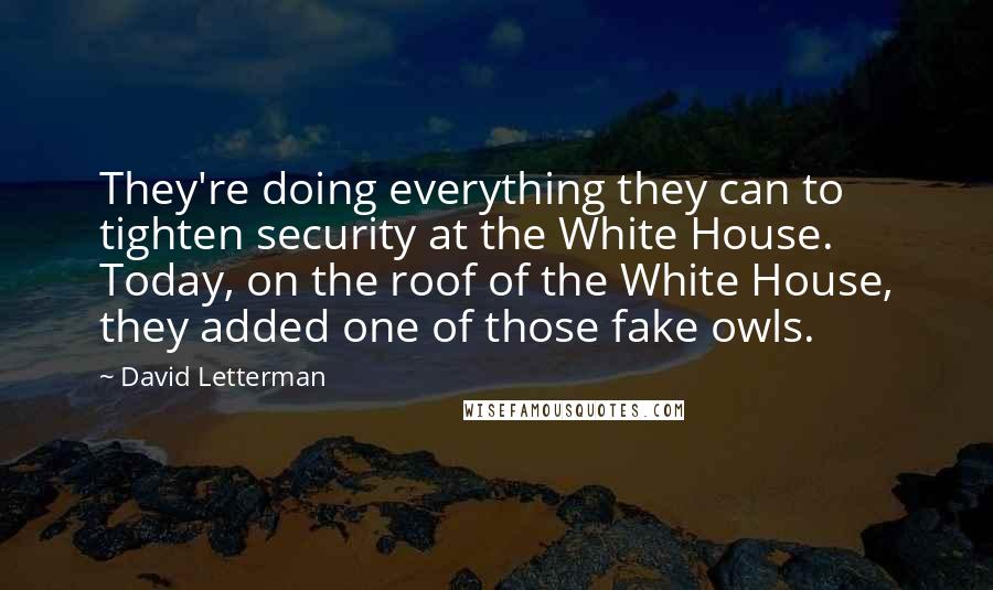 David Letterman Quotes: They're doing everything they can to tighten security at the White House. Today, on the roof of the White House, they added one of those fake owls.