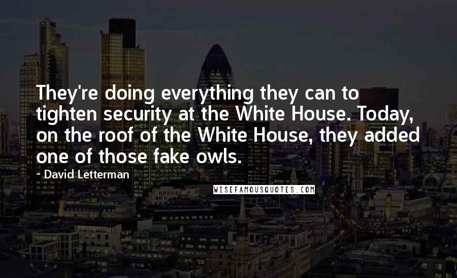 David Letterman Quotes: They're doing everything they can to tighten security at the White House. Today, on the roof of the White House, they added one of those fake owls.