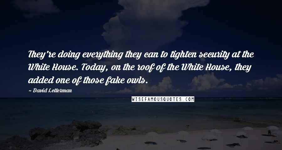 David Letterman Quotes: They're doing everything they can to tighten security at the White House. Today, on the roof of the White House, they added one of those fake owls.