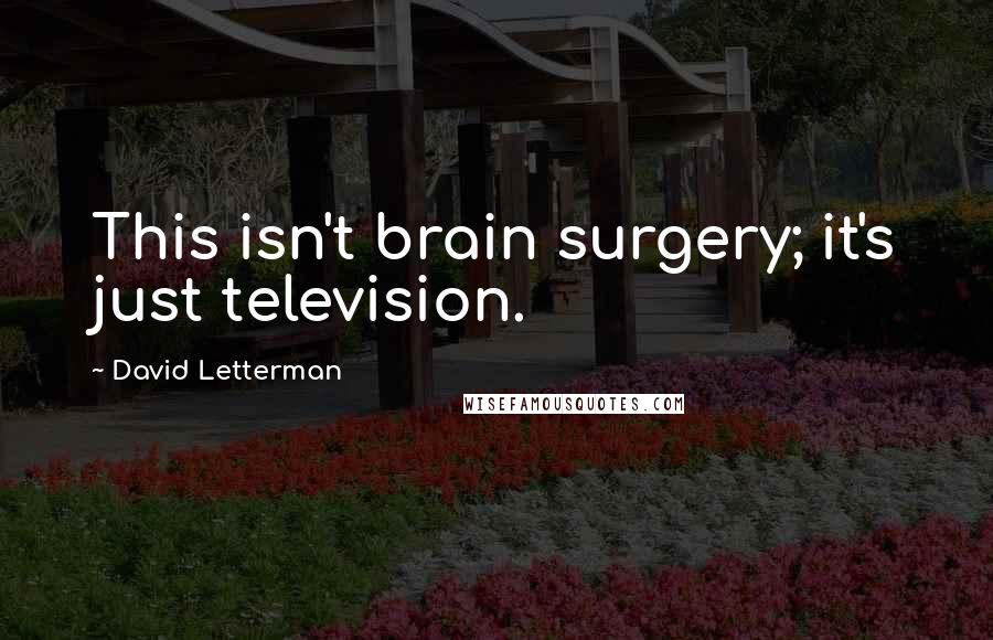 David Letterman Quotes: This isn't brain surgery; it's just television.