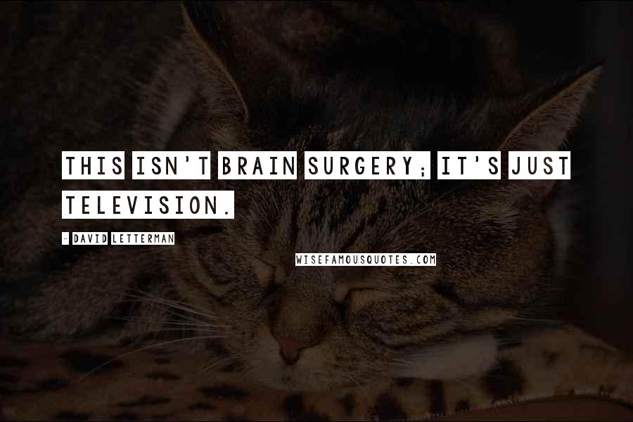 David Letterman Quotes: This isn't brain surgery; it's just television.