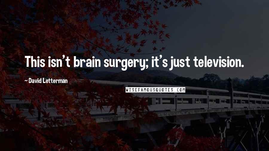 David Letterman Quotes: This isn't brain surgery; it's just television.