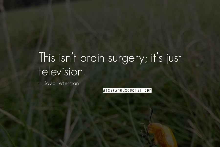 David Letterman Quotes: This isn't brain surgery; it's just television.