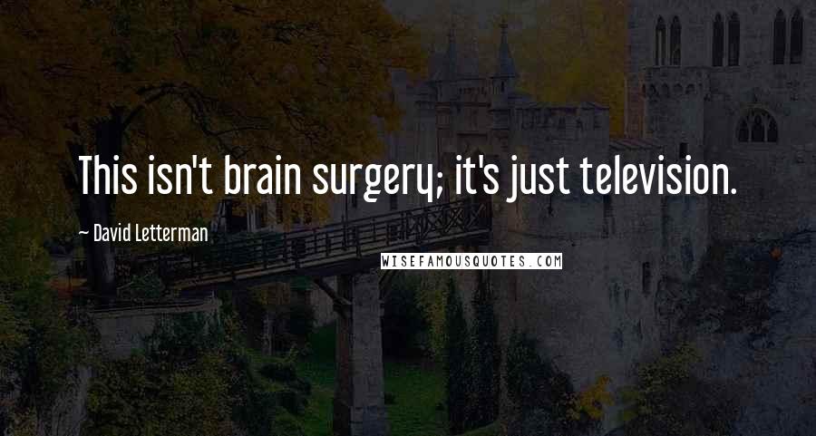 David Letterman Quotes: This isn't brain surgery; it's just television.