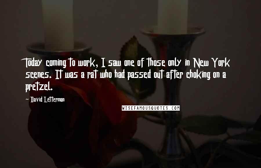 David Letterman Quotes: Today coming to work, I saw one of those only in New York scenes. It was a rat who had passed out after choking on a pretzel.