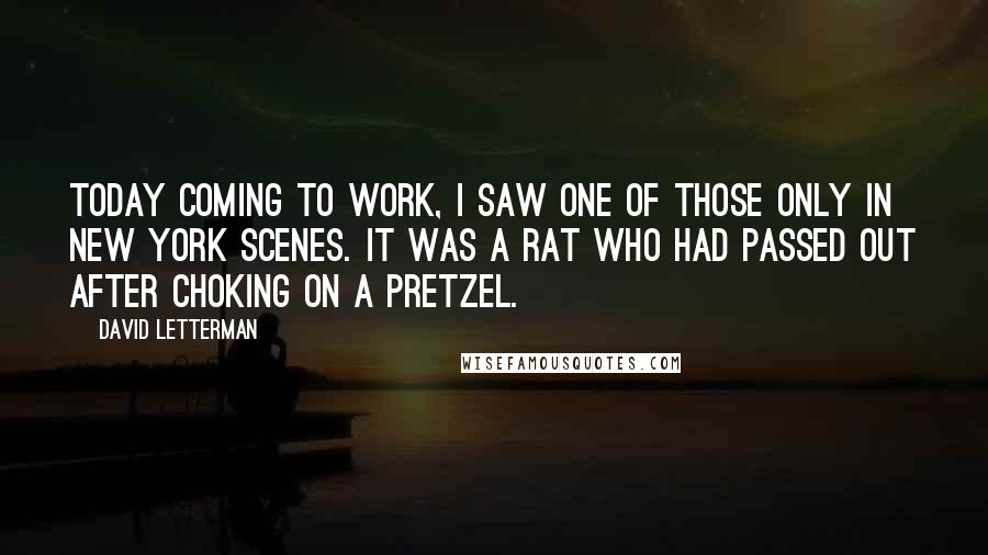 David Letterman Quotes: Today coming to work, I saw one of those only in New York scenes. It was a rat who had passed out after choking on a pretzel.
