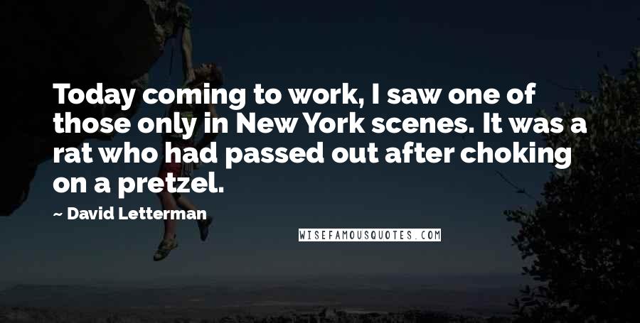David Letterman Quotes: Today coming to work, I saw one of those only in New York scenes. It was a rat who had passed out after choking on a pretzel.
