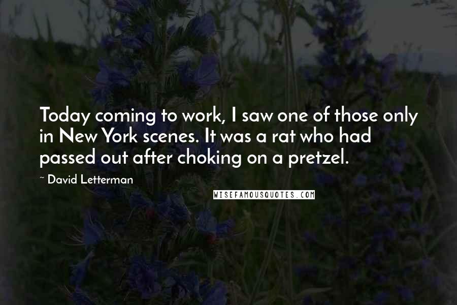 David Letterman Quotes: Today coming to work, I saw one of those only in New York scenes. It was a rat who had passed out after choking on a pretzel.