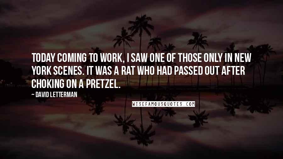 David Letterman Quotes: Today coming to work, I saw one of those only in New York scenes. It was a rat who had passed out after choking on a pretzel.