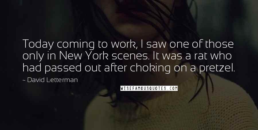 David Letterman Quotes: Today coming to work, I saw one of those only in New York scenes. It was a rat who had passed out after choking on a pretzel.