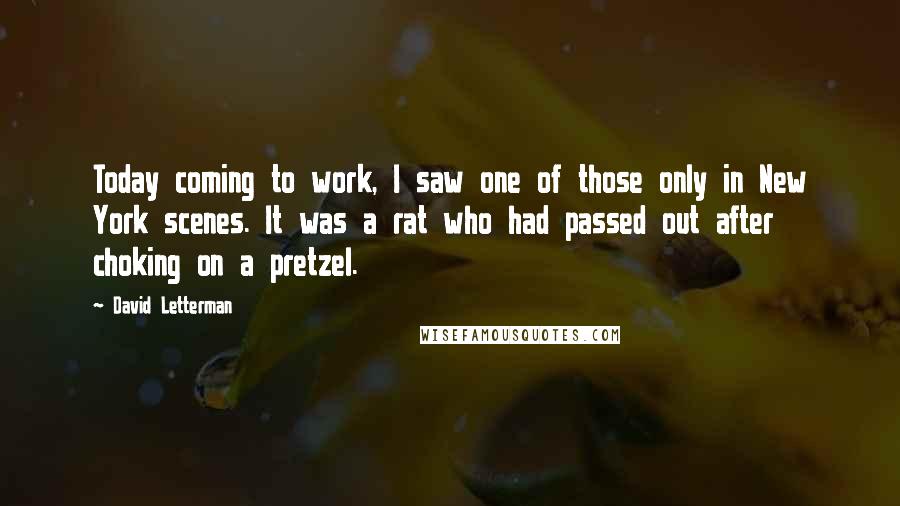 David Letterman Quotes: Today coming to work, I saw one of those only in New York scenes. It was a rat who had passed out after choking on a pretzel.