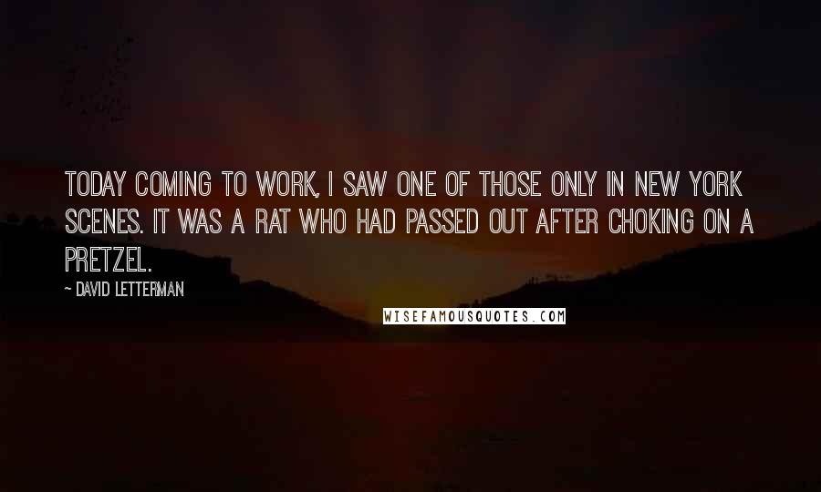 David Letterman Quotes: Today coming to work, I saw one of those only in New York scenes. It was a rat who had passed out after choking on a pretzel.