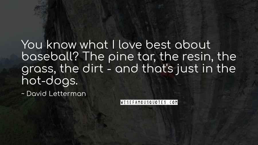 David Letterman Quotes: You know what I love best about baseball? The pine tar, the resin, the grass, the dirt - and that's just in the hot-dogs.