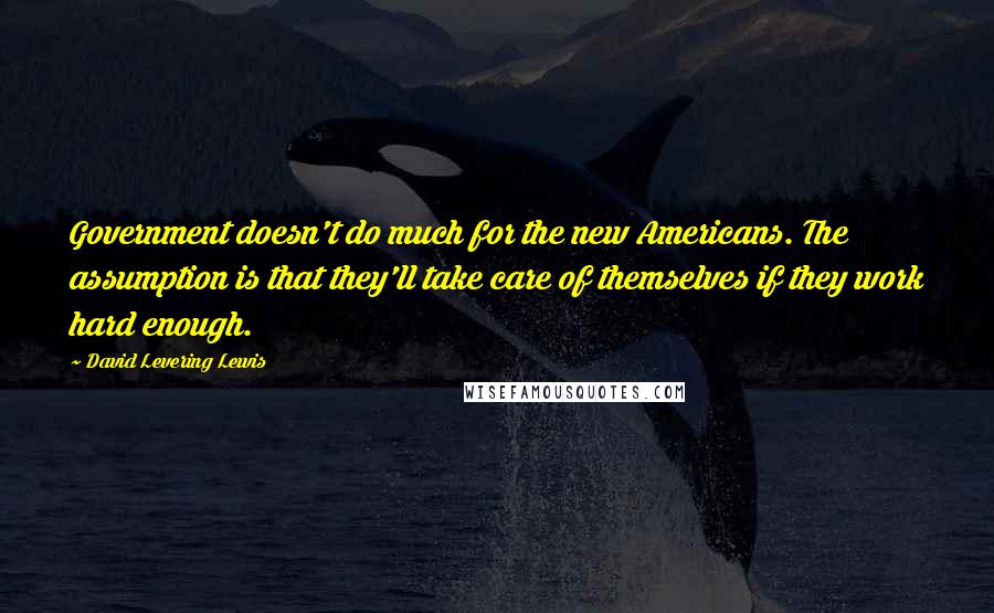 David Levering Lewis Quotes: Government doesn't do much for the new Americans. The assumption is that they'll take care of themselves if they work hard enough.