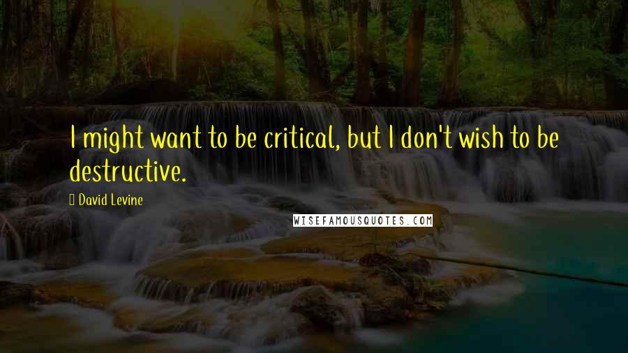 David Levine Quotes: I might want to be critical, but I don't wish to be destructive.