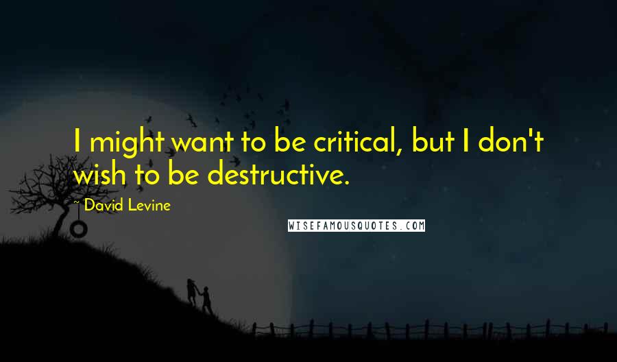 David Levine Quotes: I might want to be critical, but I don't wish to be destructive.