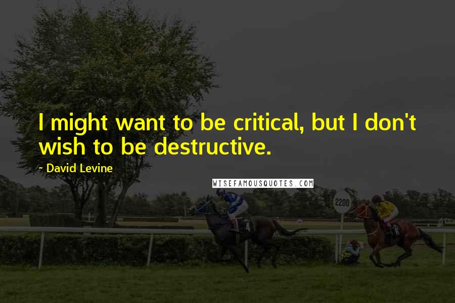 David Levine Quotes: I might want to be critical, but I don't wish to be destructive.