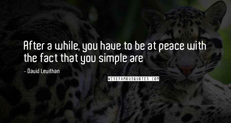 David Levithan Quotes: After a while, you have to be at peace with the fact that you simple are