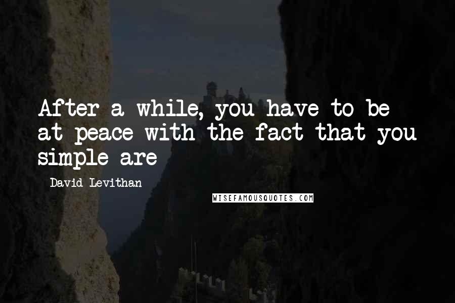 David Levithan Quotes: After a while, you have to be at peace with the fact that you simple are