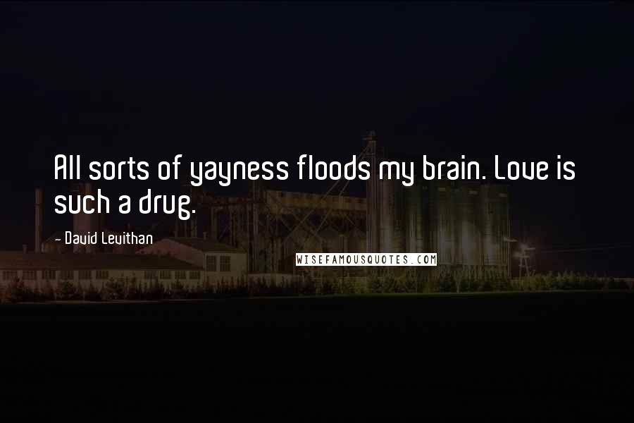 David Levithan Quotes: All sorts of yayness floods my brain. Love is such a drug.