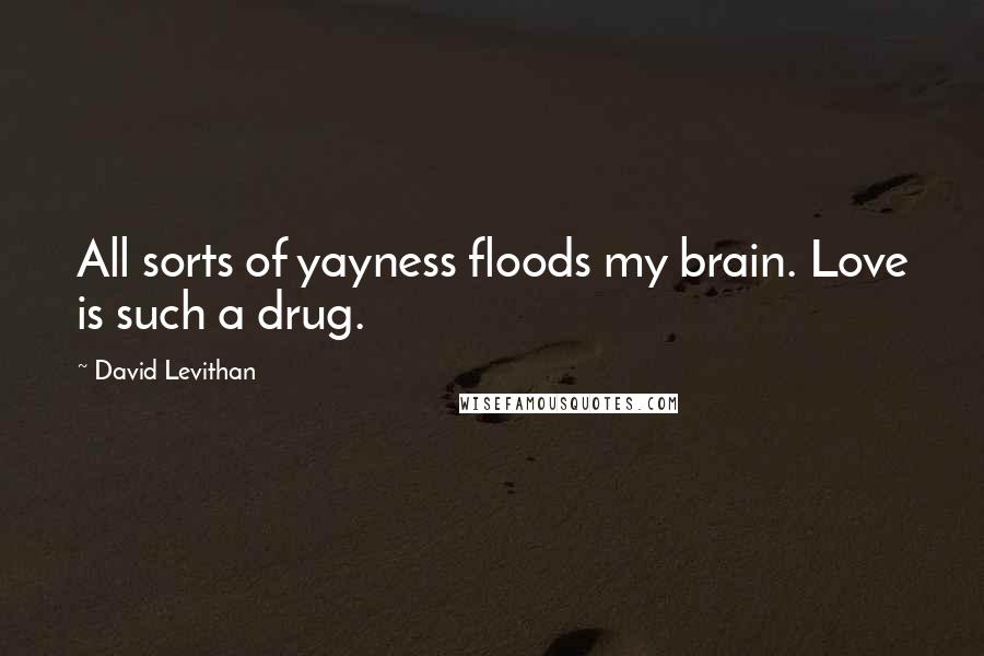 David Levithan Quotes: All sorts of yayness floods my brain. Love is such a drug.