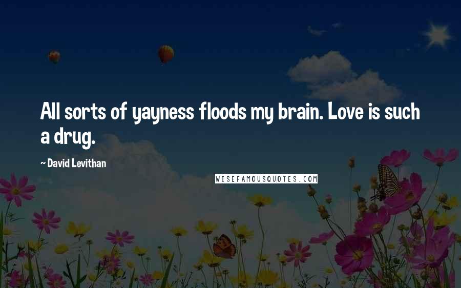 David Levithan Quotes: All sorts of yayness floods my brain. Love is such a drug.