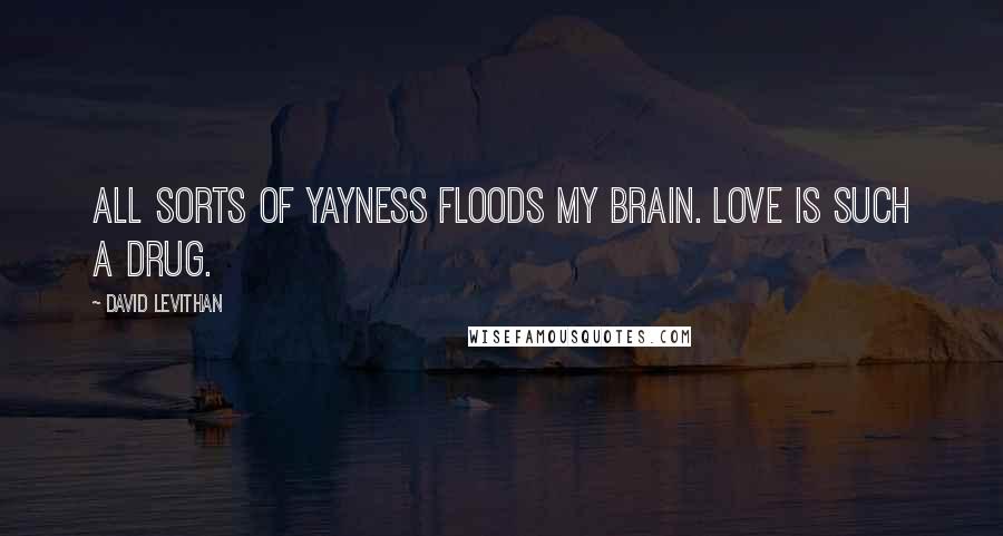 David Levithan Quotes: All sorts of yayness floods my brain. Love is such a drug.