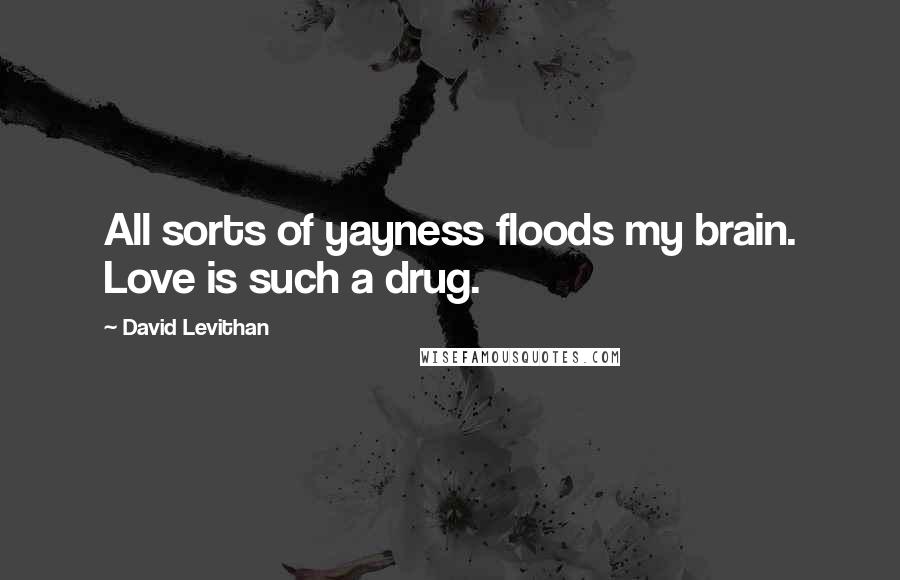 David Levithan Quotes: All sorts of yayness floods my brain. Love is such a drug.