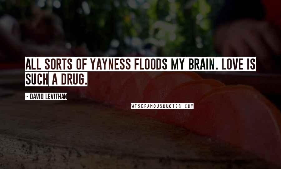 David Levithan Quotes: All sorts of yayness floods my brain. Love is such a drug.