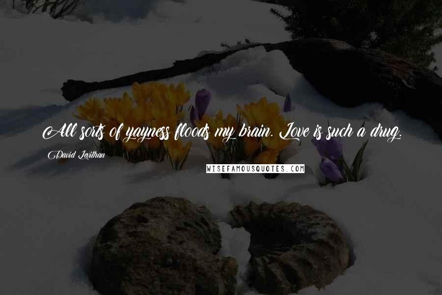 David Levithan Quotes: All sorts of yayness floods my brain. Love is such a drug.