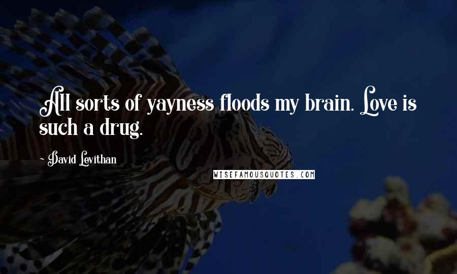 David Levithan Quotes: All sorts of yayness floods my brain. Love is such a drug.