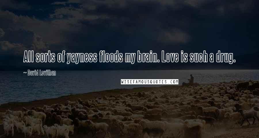 David Levithan Quotes: All sorts of yayness floods my brain. Love is such a drug.