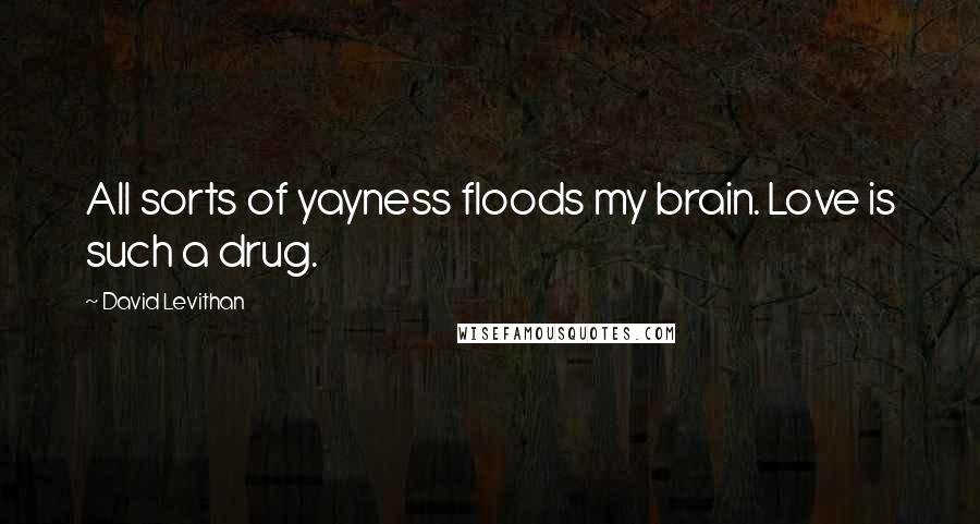 David Levithan Quotes: All sorts of yayness floods my brain. Love is such a drug.