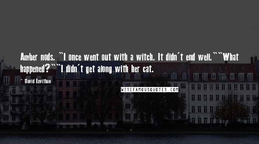 David Levithan Quotes: Amber nods. "I once went out with a witch. It didn't end well.""What happened?""I didn't get along with her cat.