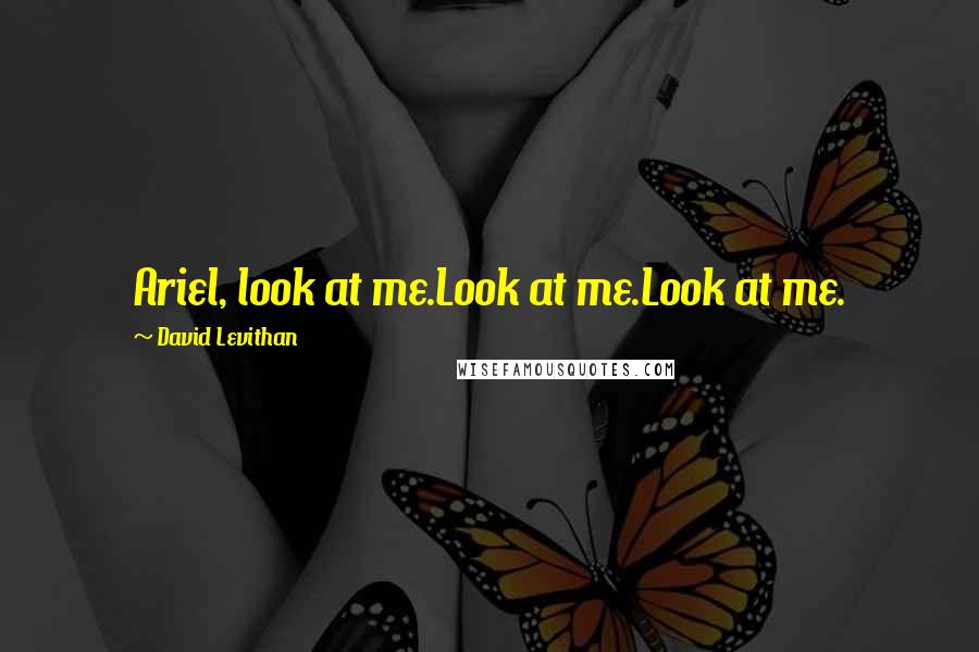 David Levithan Quotes: Ariel, look at me.Look at me.Look at me.